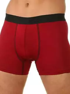 Красочные боксеры на комфортной резинке бордового цвета E5 Underwear RT17